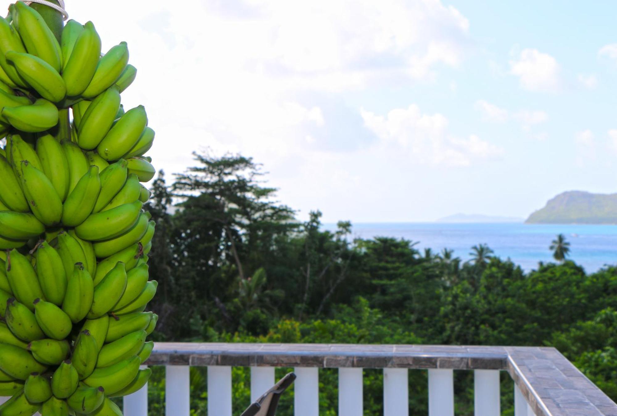 Ocean Blue Bay Apartment อังส์ วอลแบร์ วิลเลจ ภายนอก รูปภาพ
