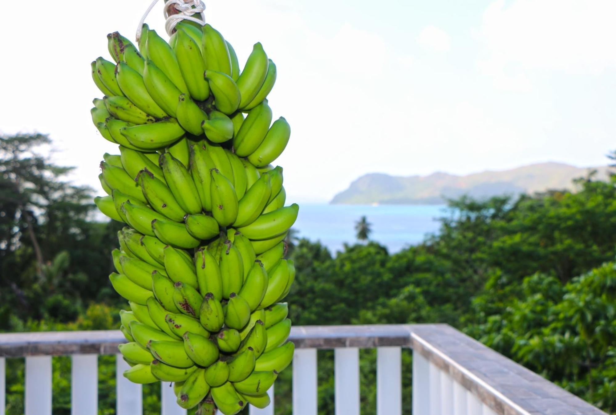 Ocean Blue Bay Apartment อังส์ วอลแบร์ วิลเลจ ภายนอก รูปภาพ