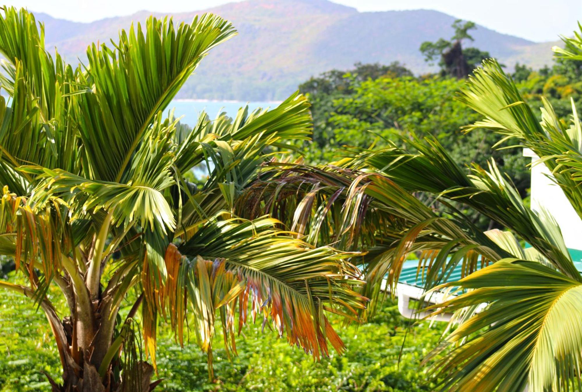 Ocean Blue Bay Apartment อังส์ วอลแบร์ วิลเลจ ภายนอก รูปภาพ